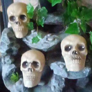3 Plastic Skull Home Decor